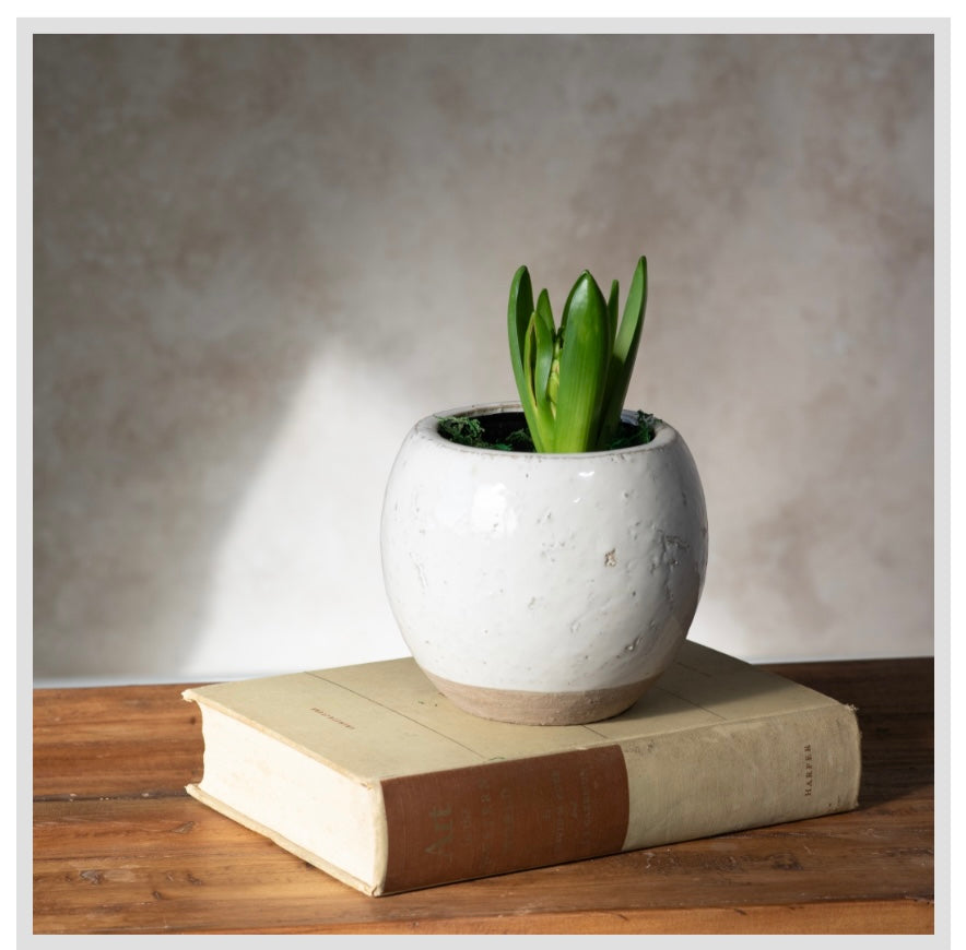 4.7" FRENCH WHITE BALL PLANTER