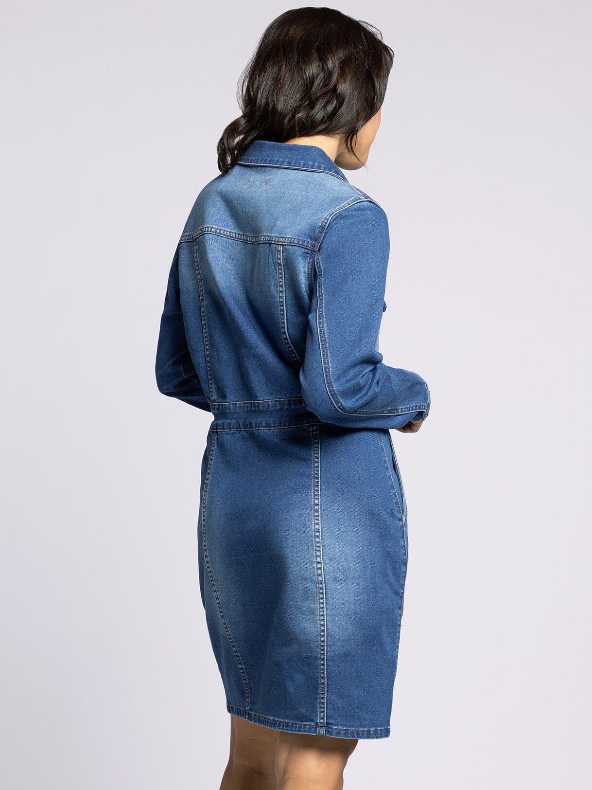 Norma Denim Dress