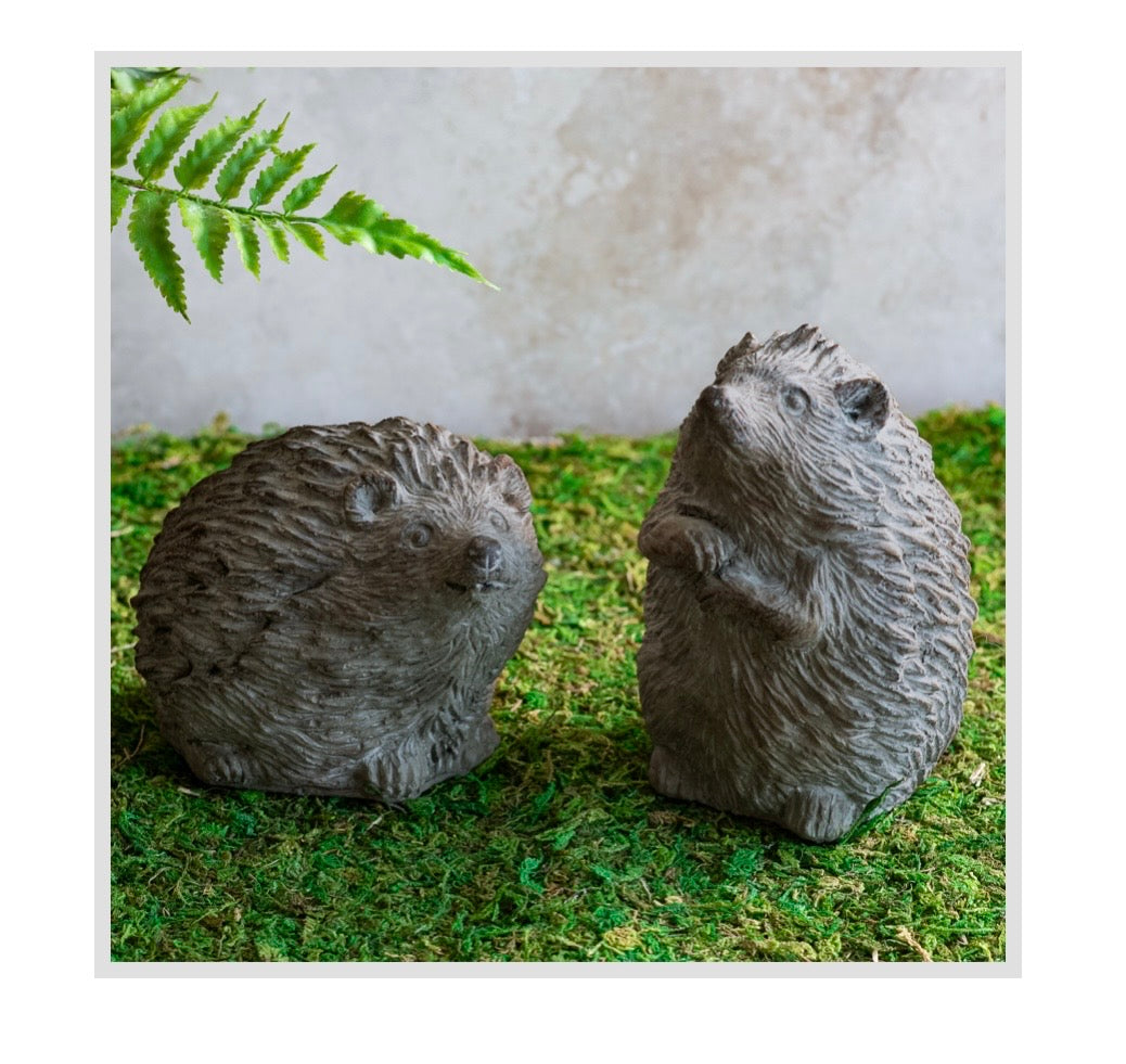 Brown Wash Hedgehogs