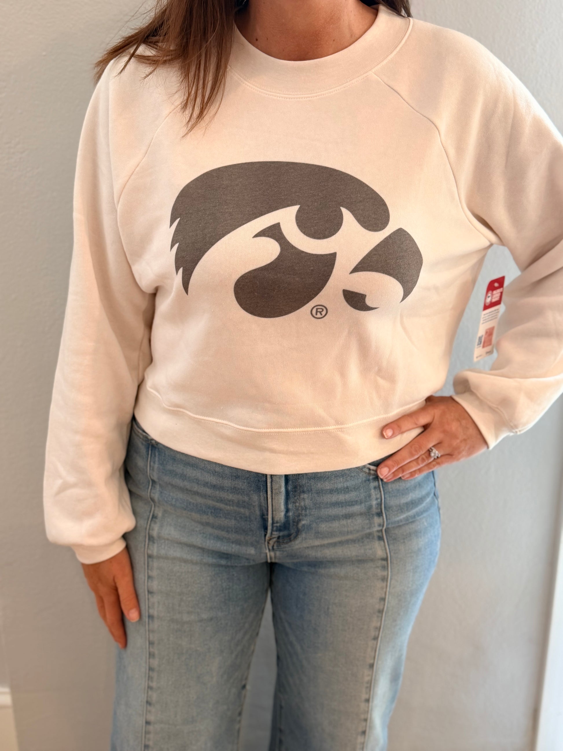 Super Soft Waist Length Hawk Sweatshirt