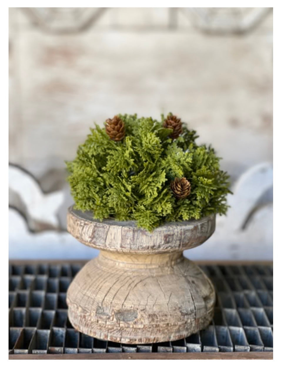 6" Leyland Cypress Half Sphere