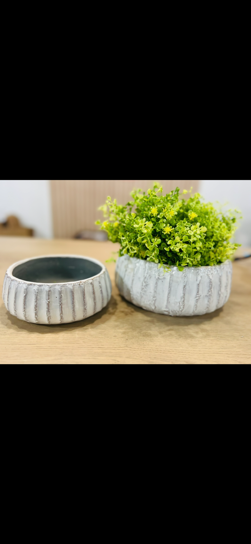 LG WHITE STRIPE BOWL