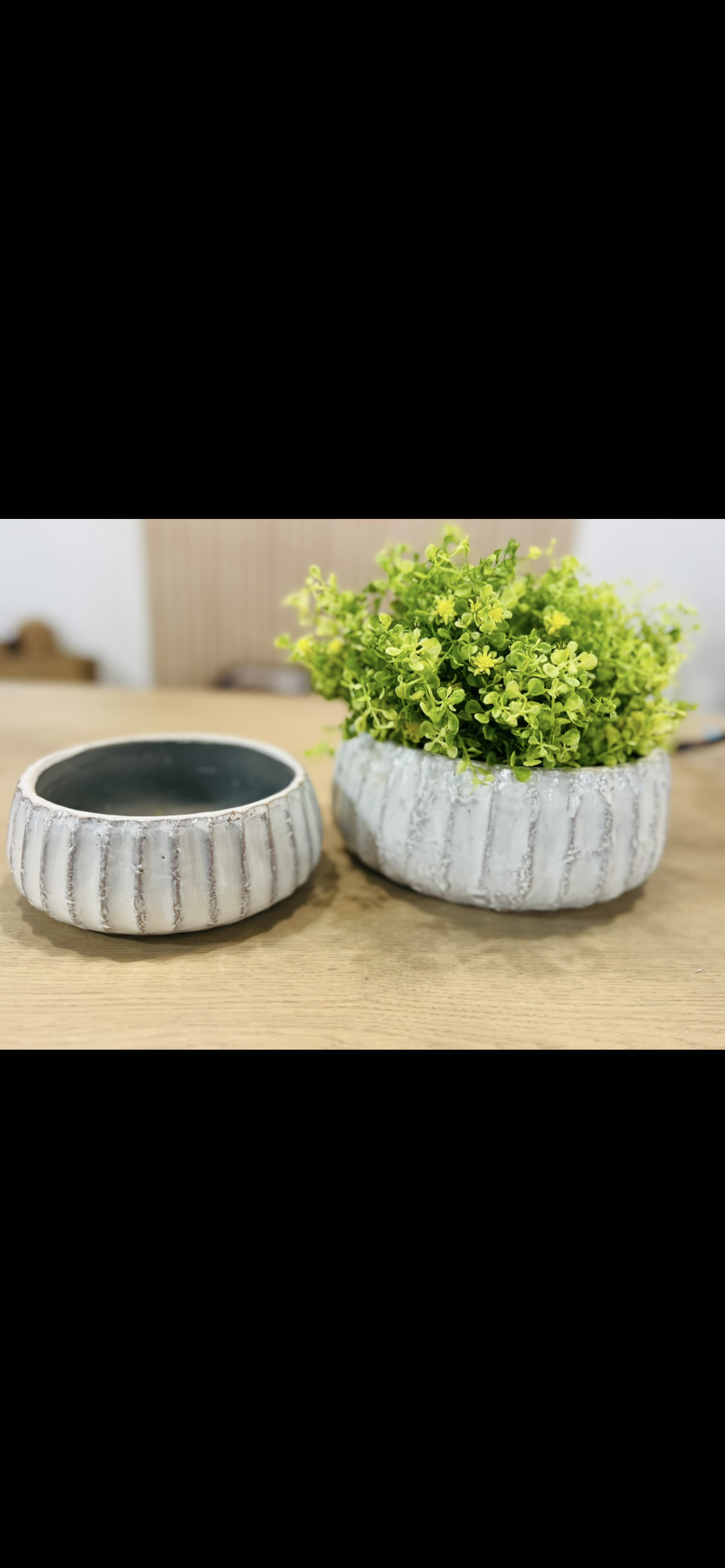 LG WHITE STRIPE BOWL