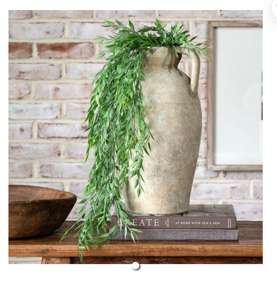 HANGING PLANT