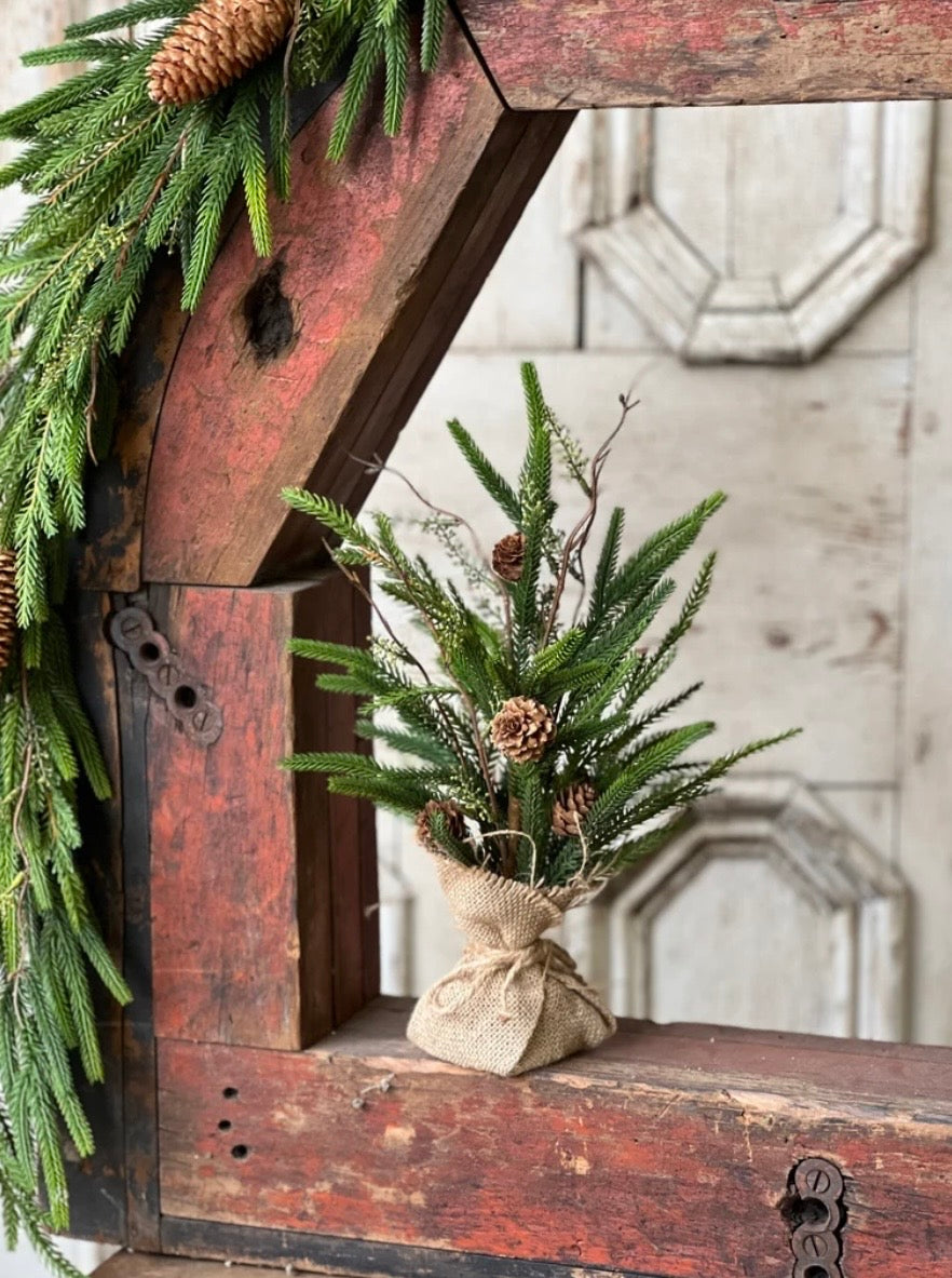15" Pencil Pine Tree