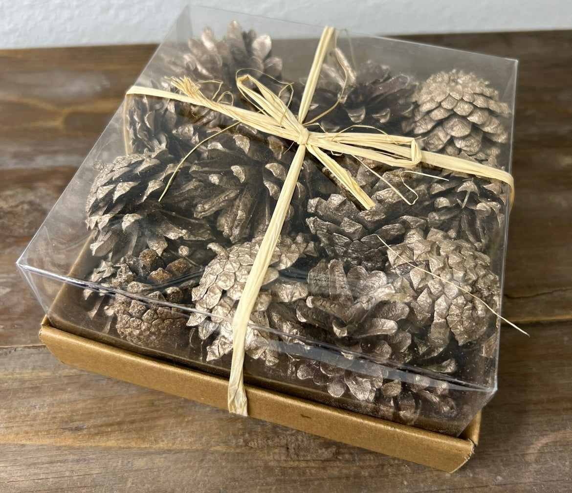 PINE CONES IN BOX