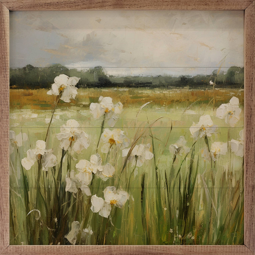 Wild White Irises By Gina Kelly 8x8