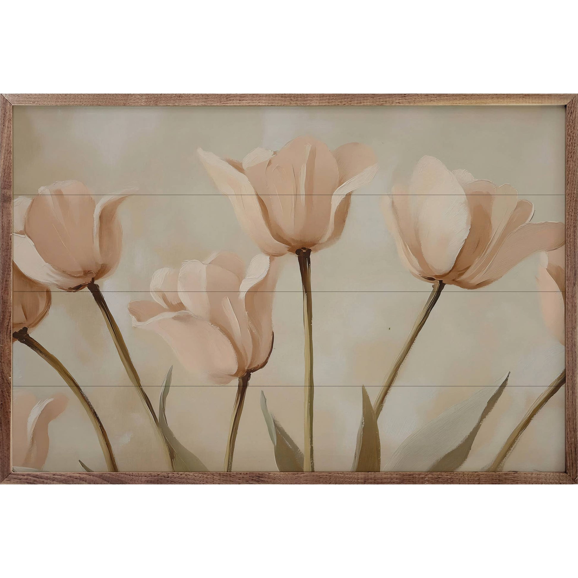 Pale Pink Poppies By Franklyn Gregory 16x10