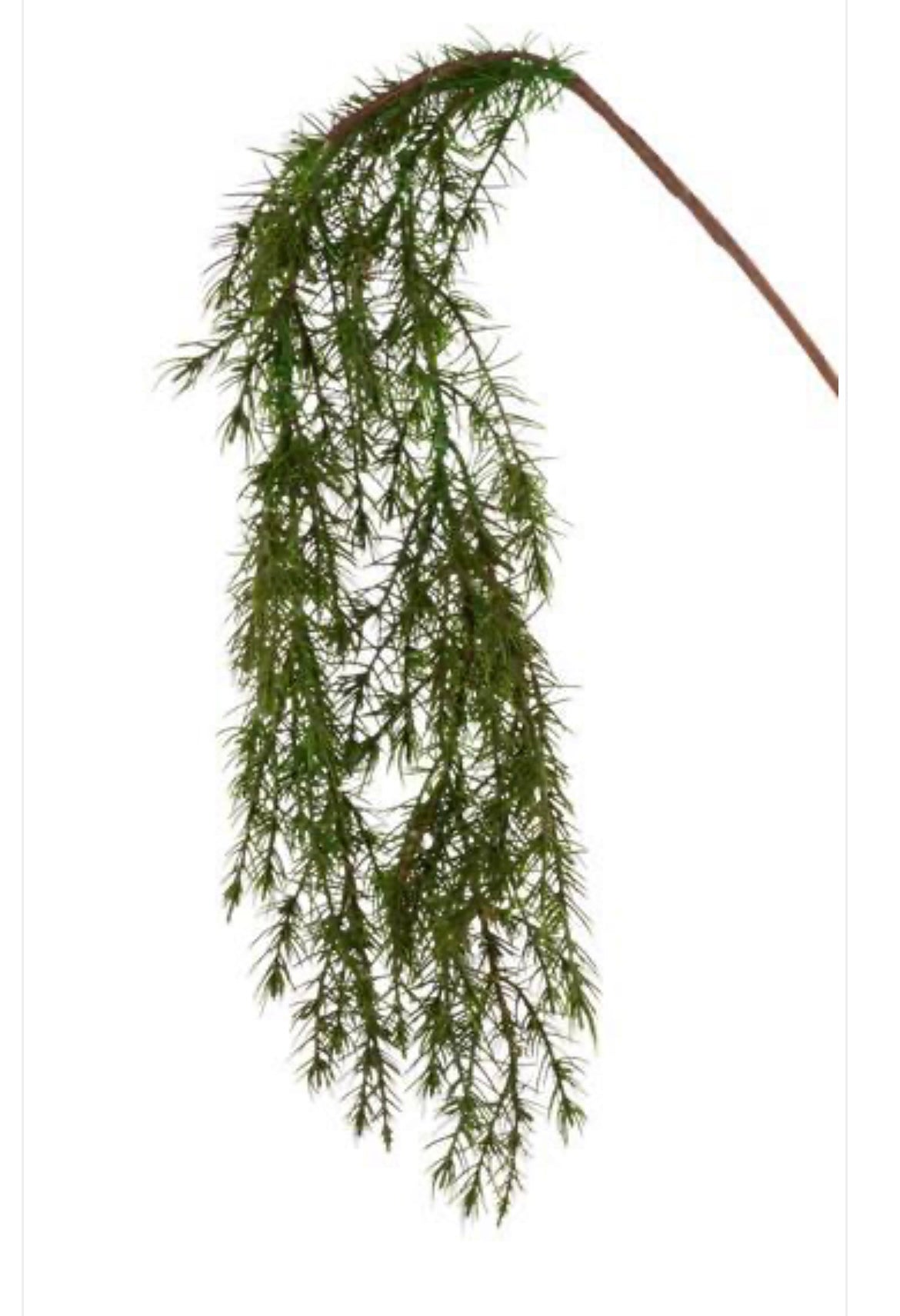 47" Mountain Pine Hanging Spray