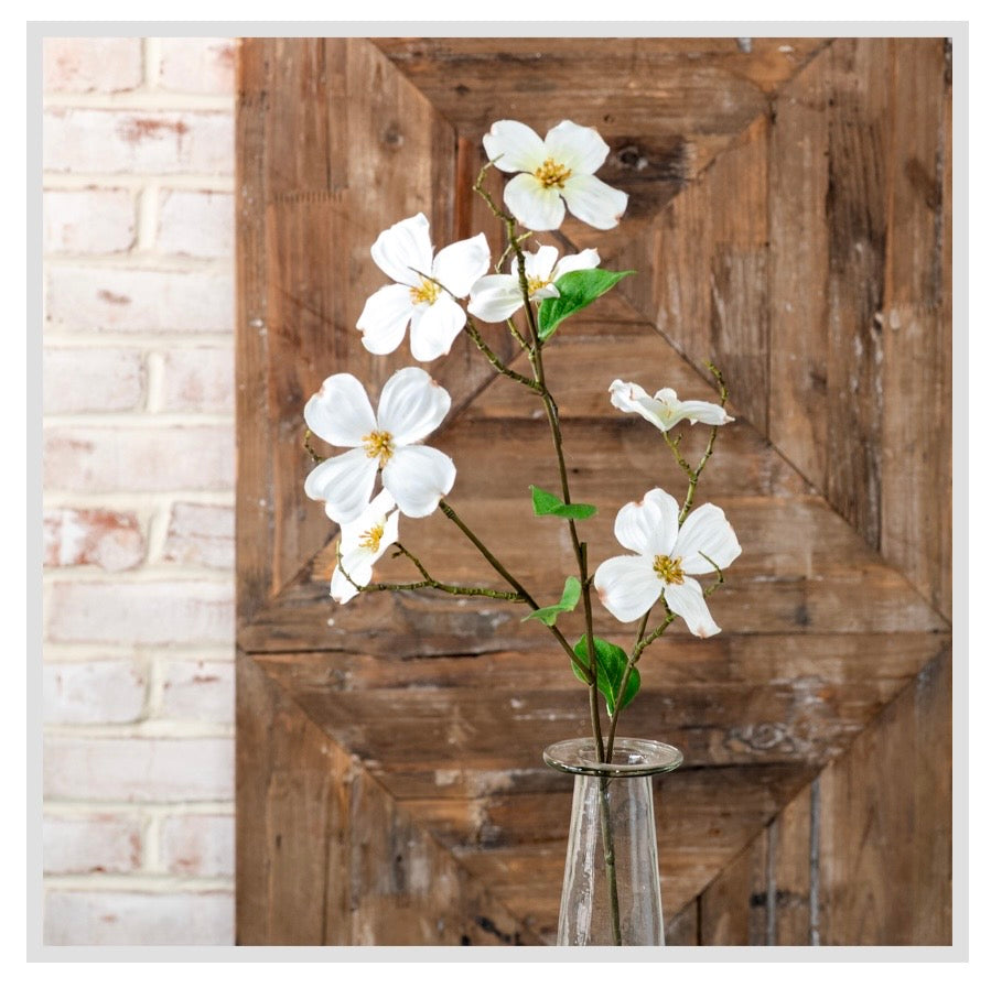 White Dogwood Flower Stem