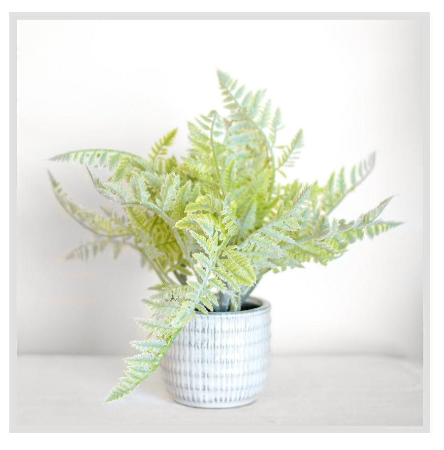 LEAFY POTTED PLANT
