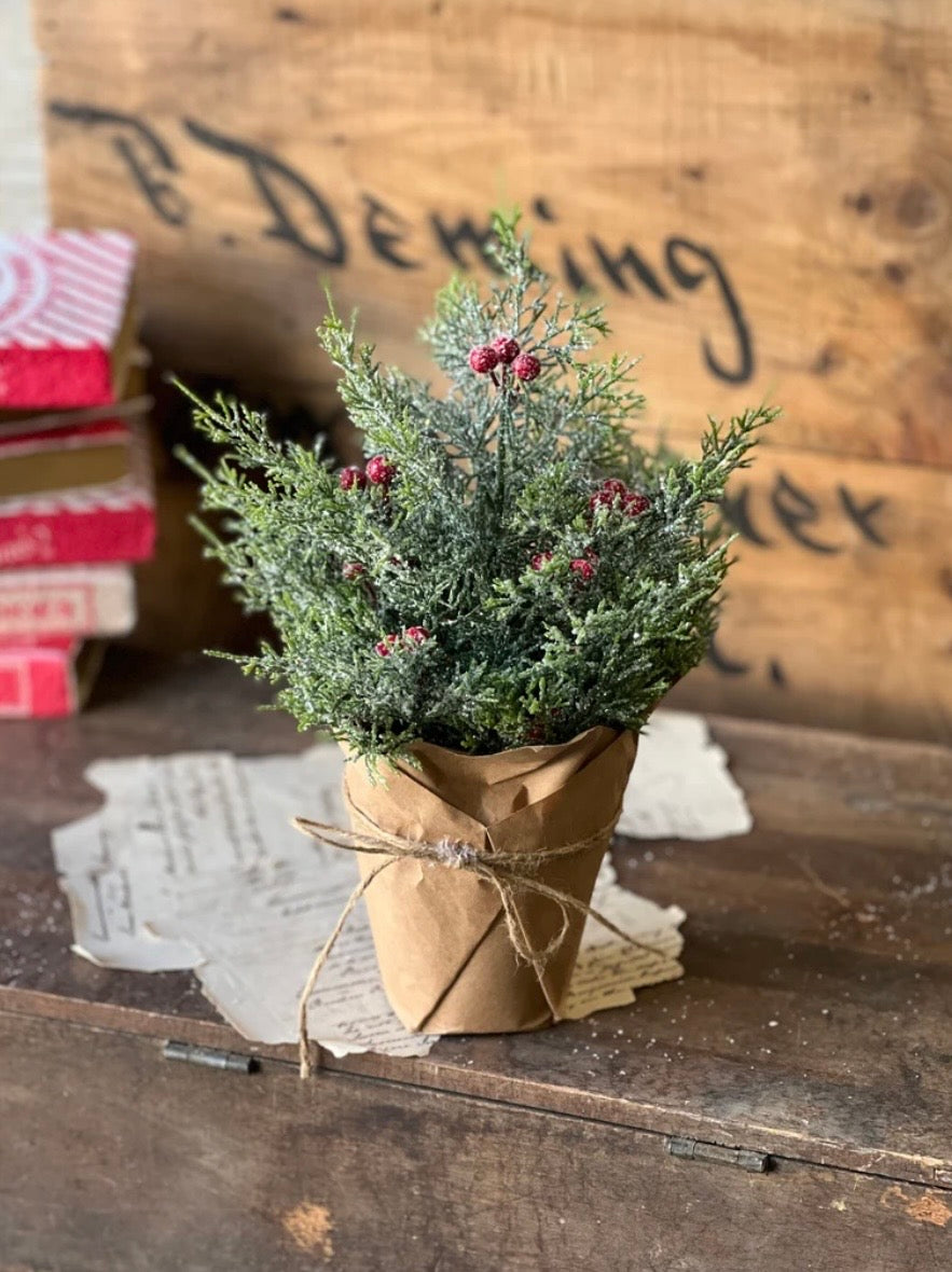 12" Merry Market Pot