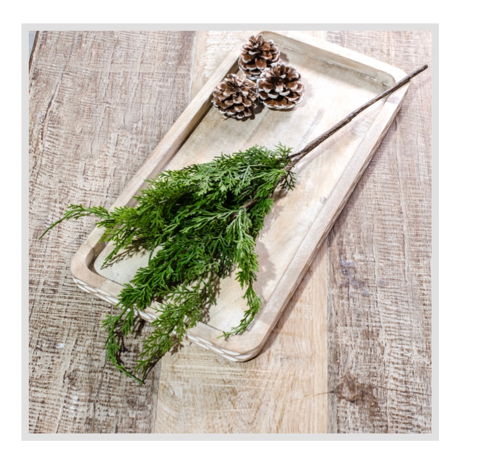 26" CEDAR GREEN SPRAY