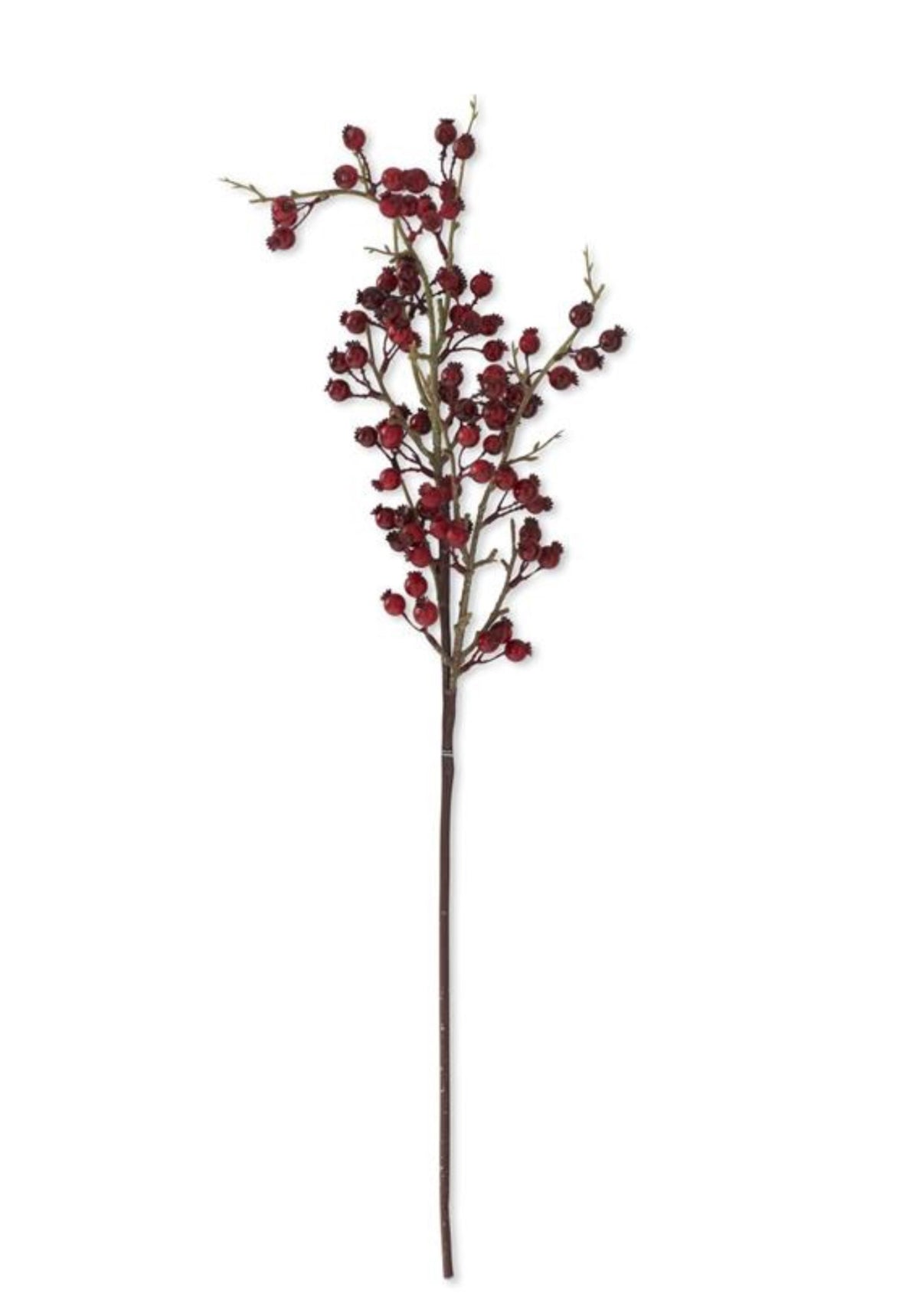 31" Red Berry Twig Stem