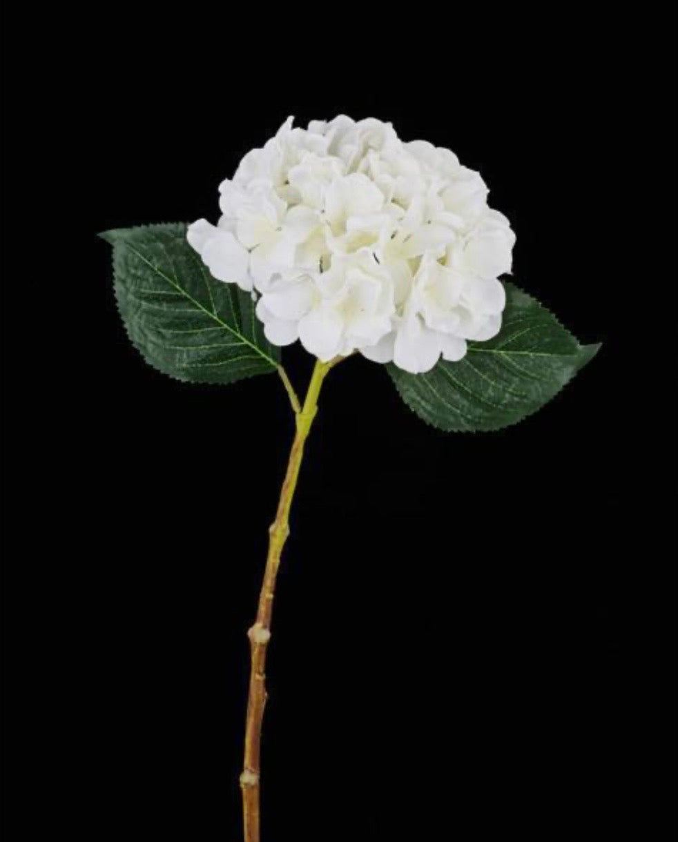 19" White Hydrangea Stem
