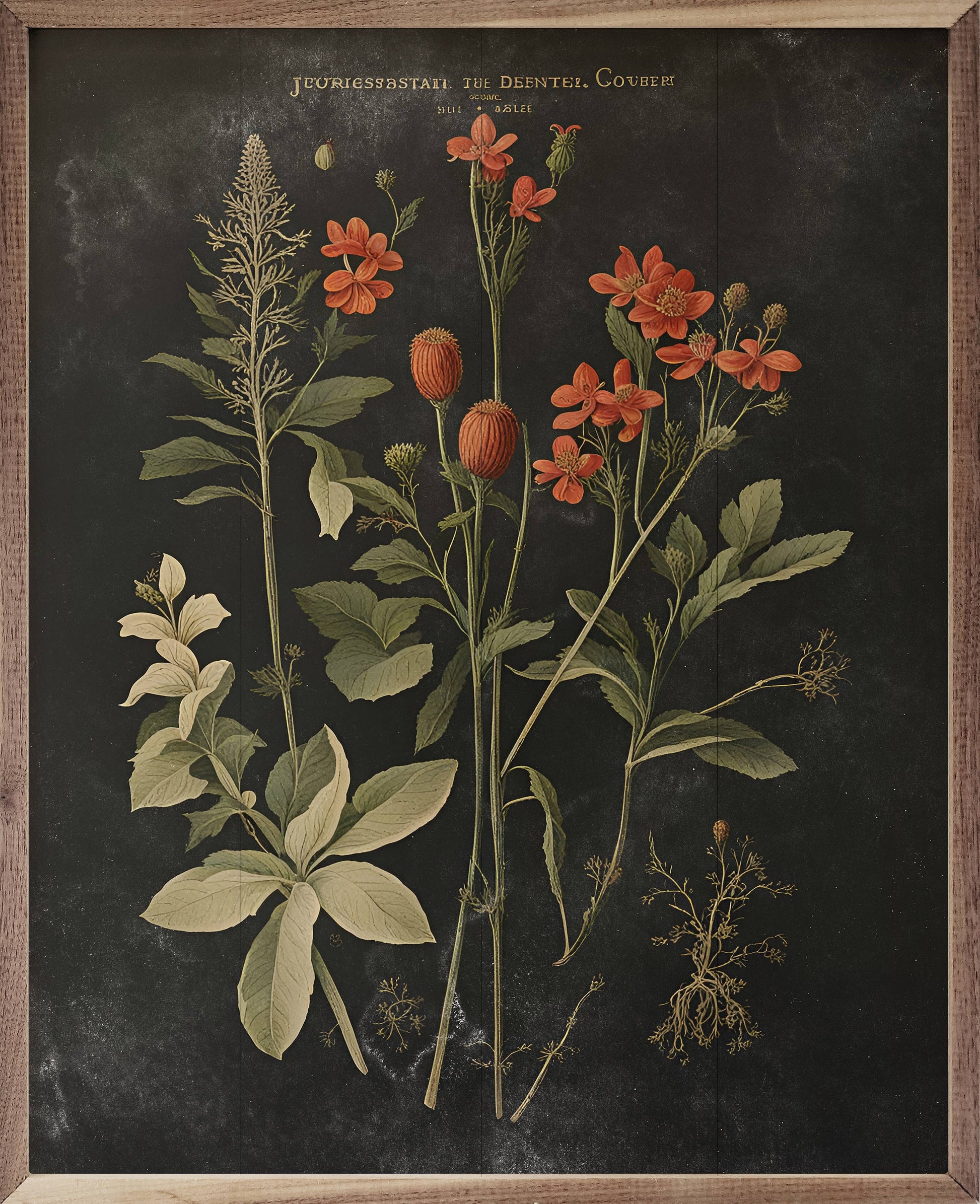 Vintage Orange Floral Print Black