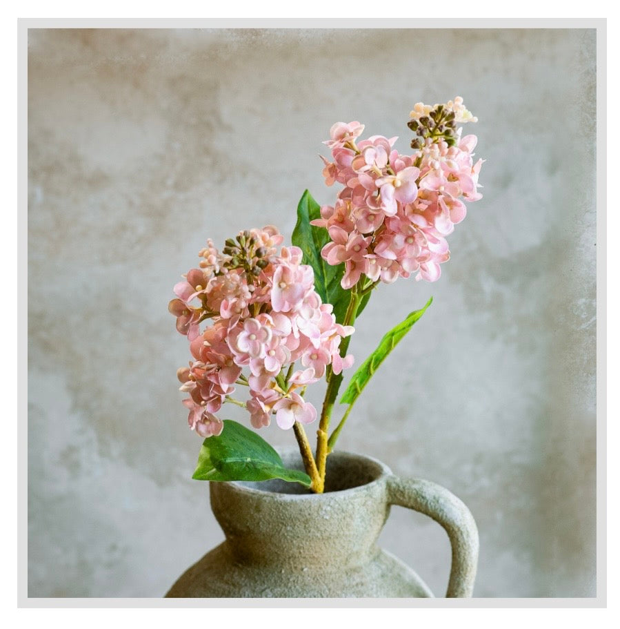 26" Pink Cone Hydrangea Stem