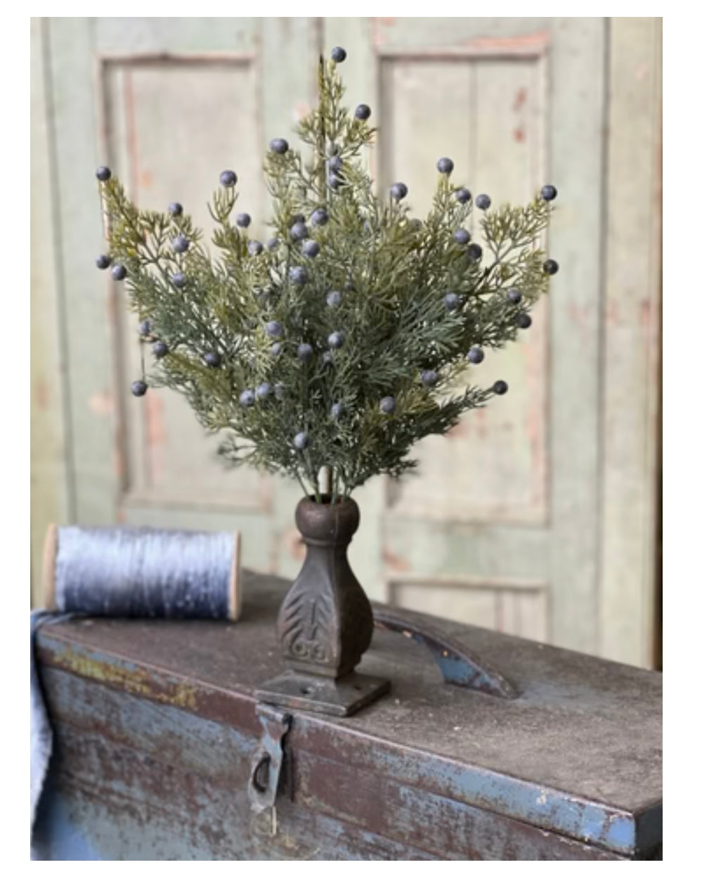 18" Midnight Juniper Bush