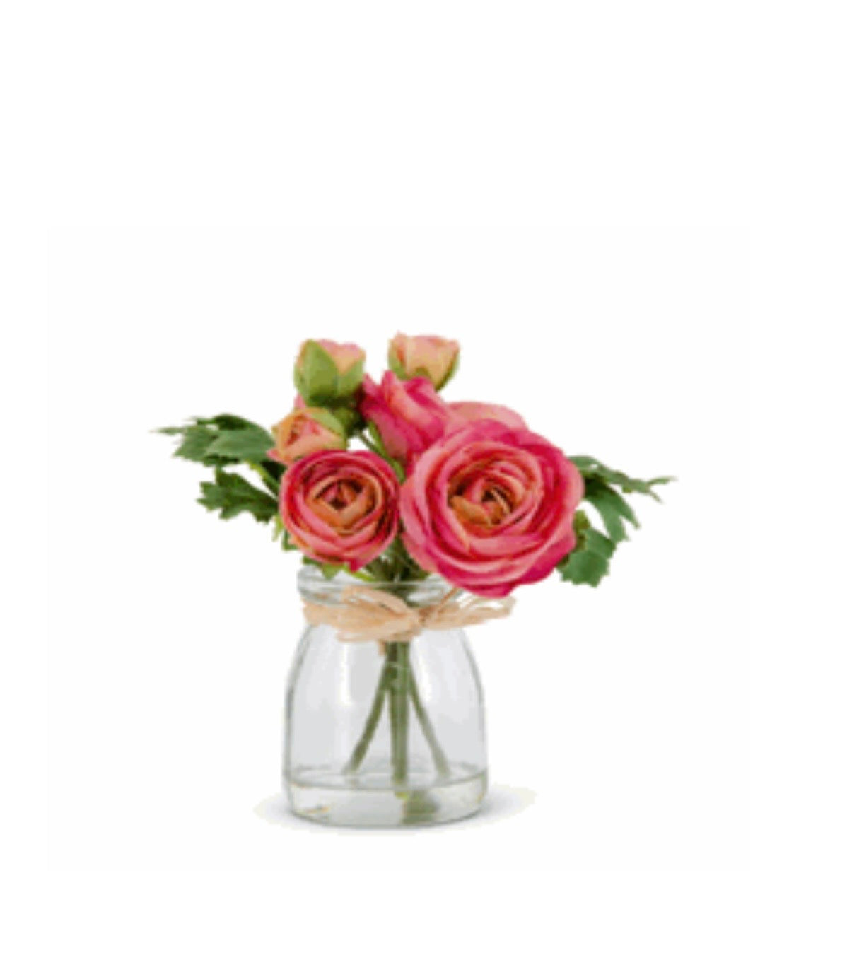 6.7" Pink Ranunculus in Glass Vase