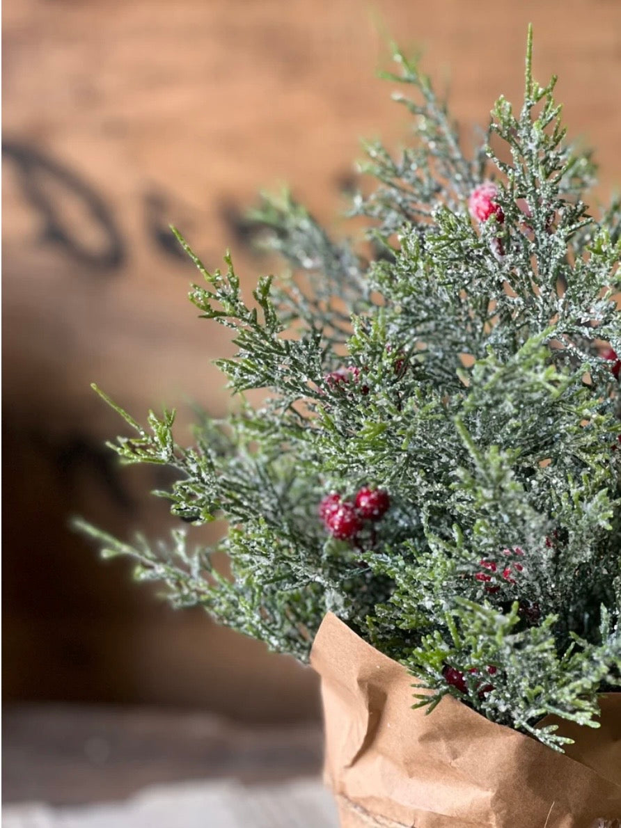 12" Merry Market Pot