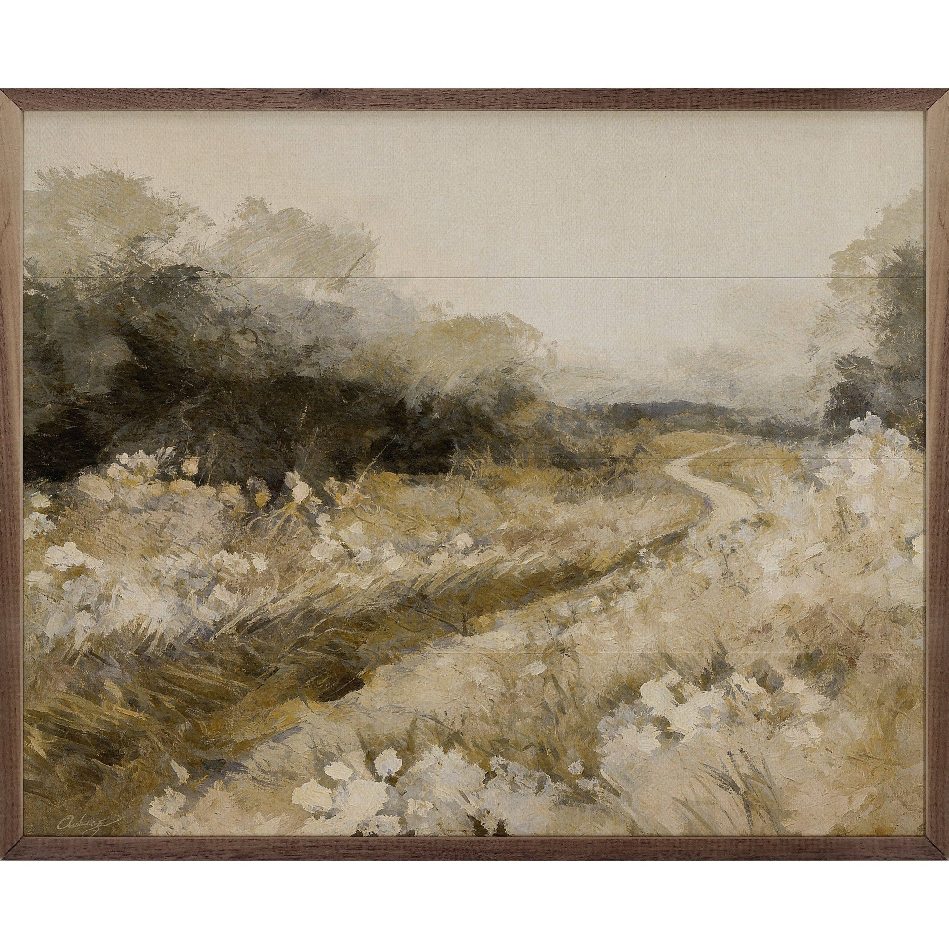 Winding Path Through The Meadow