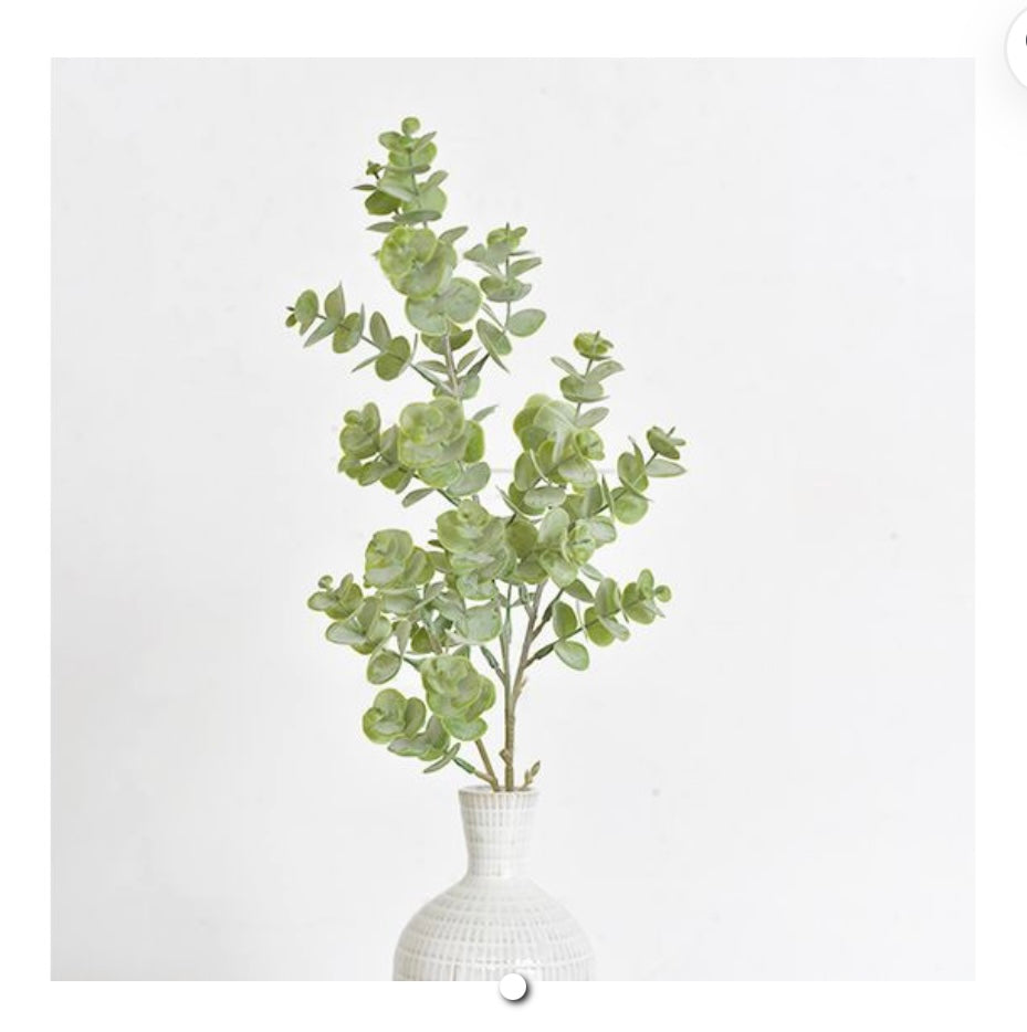 24.4" EUCALYPTUS