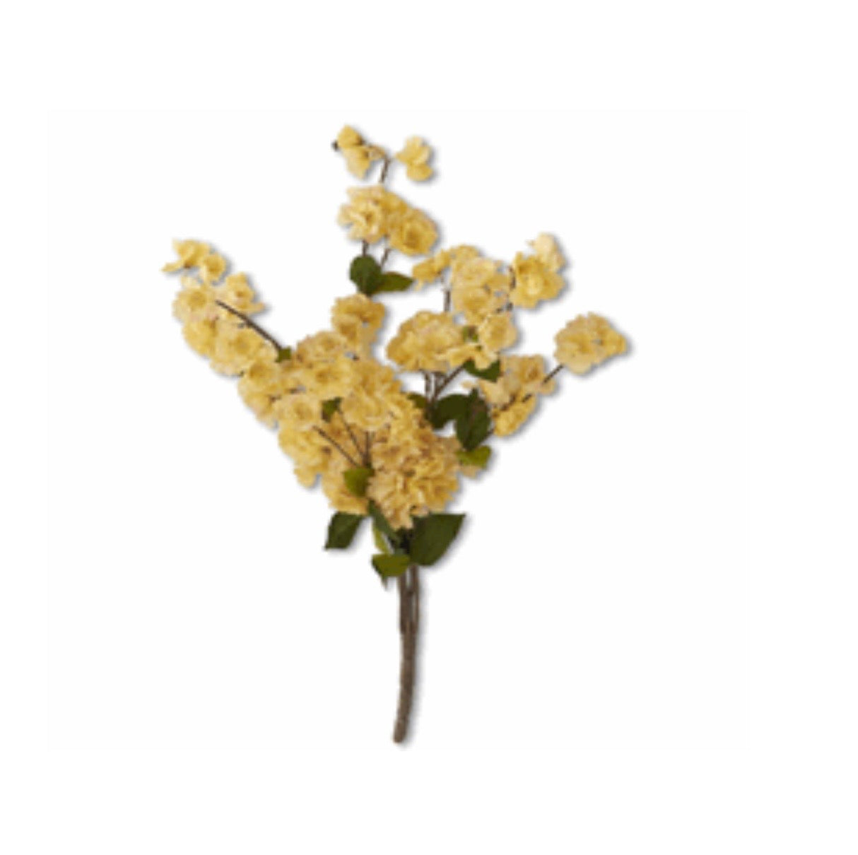 25" Yellow Peach Blossom Bush
