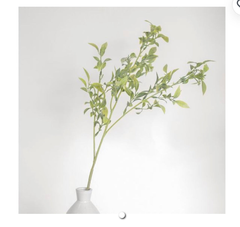 GRASSY LEAF STEM