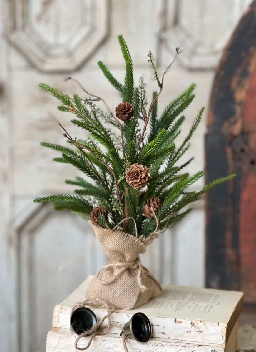 15" Pencil Pine Tree