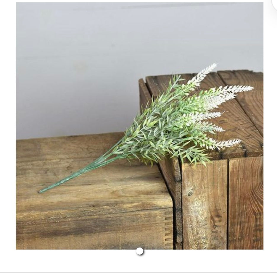 LAVENDER BUSH WHITE