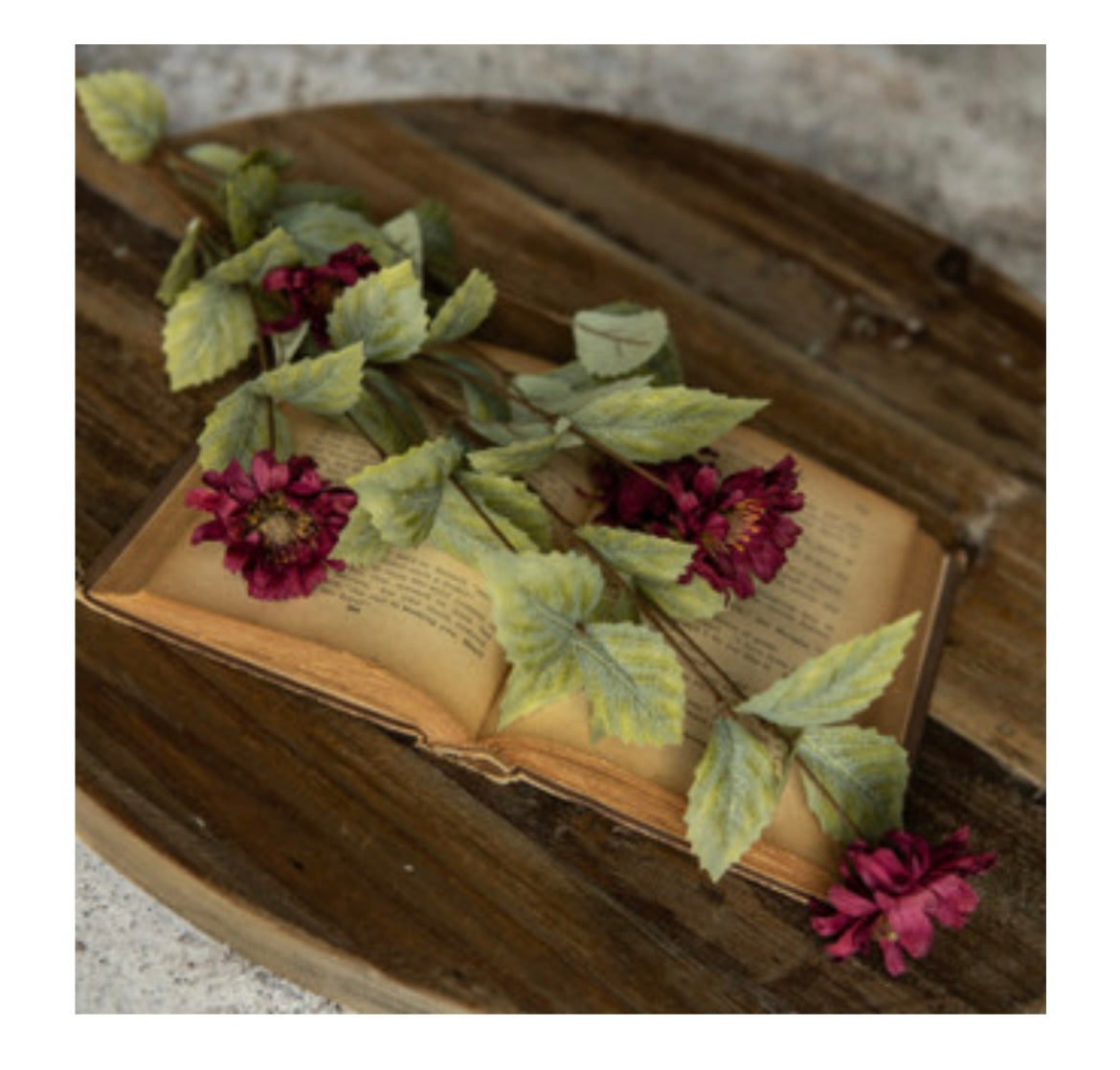 34" Burgundy Daisy Spray