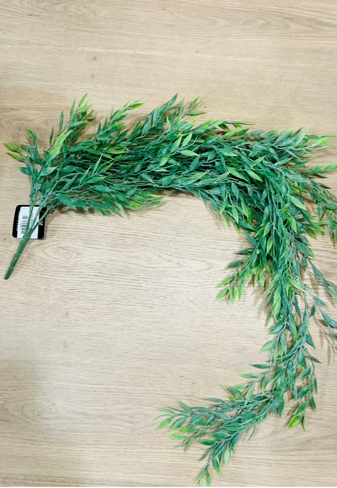 HANGING PLANT