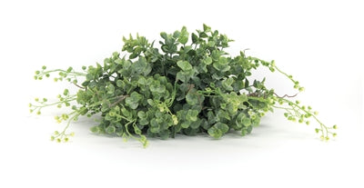 Boxwood half orb 12"