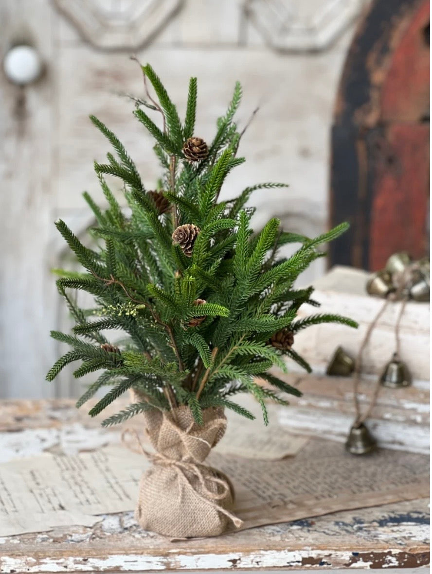 19" Pencil Pine Tree