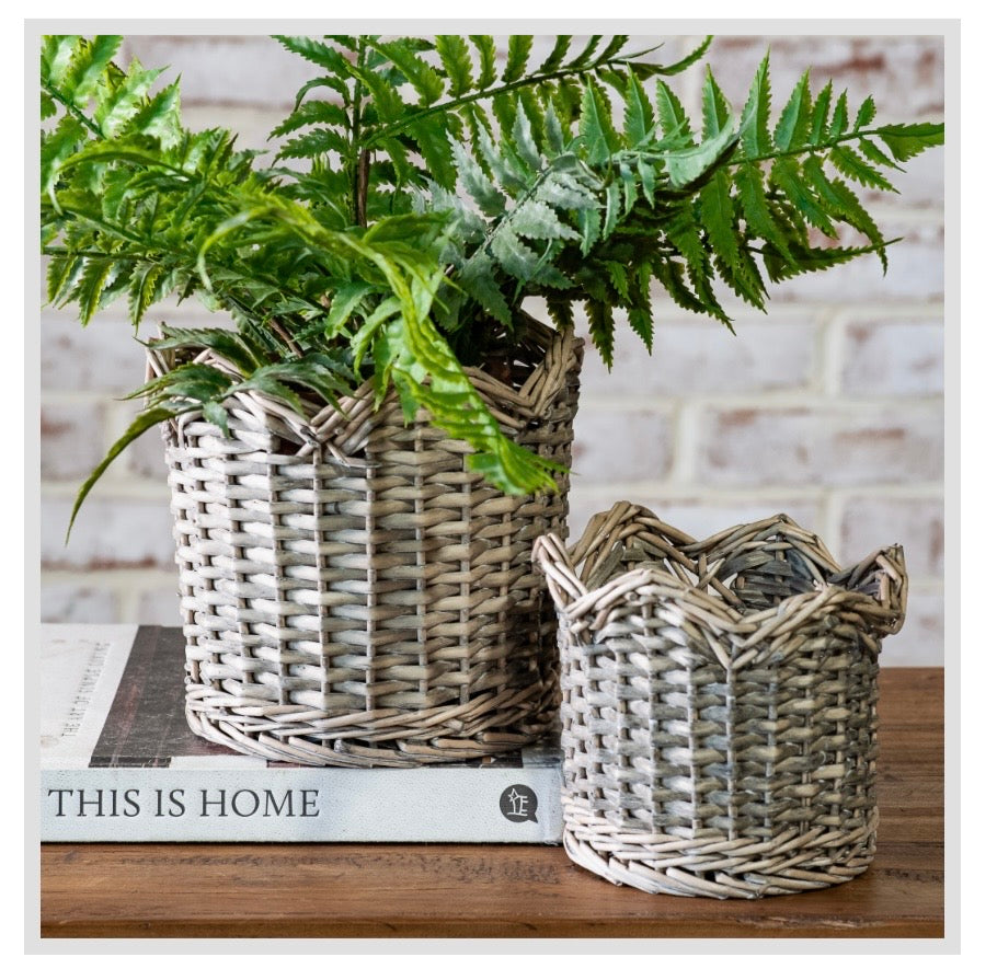 Grey Wash Scalloped Edge Willow Baskets Planters