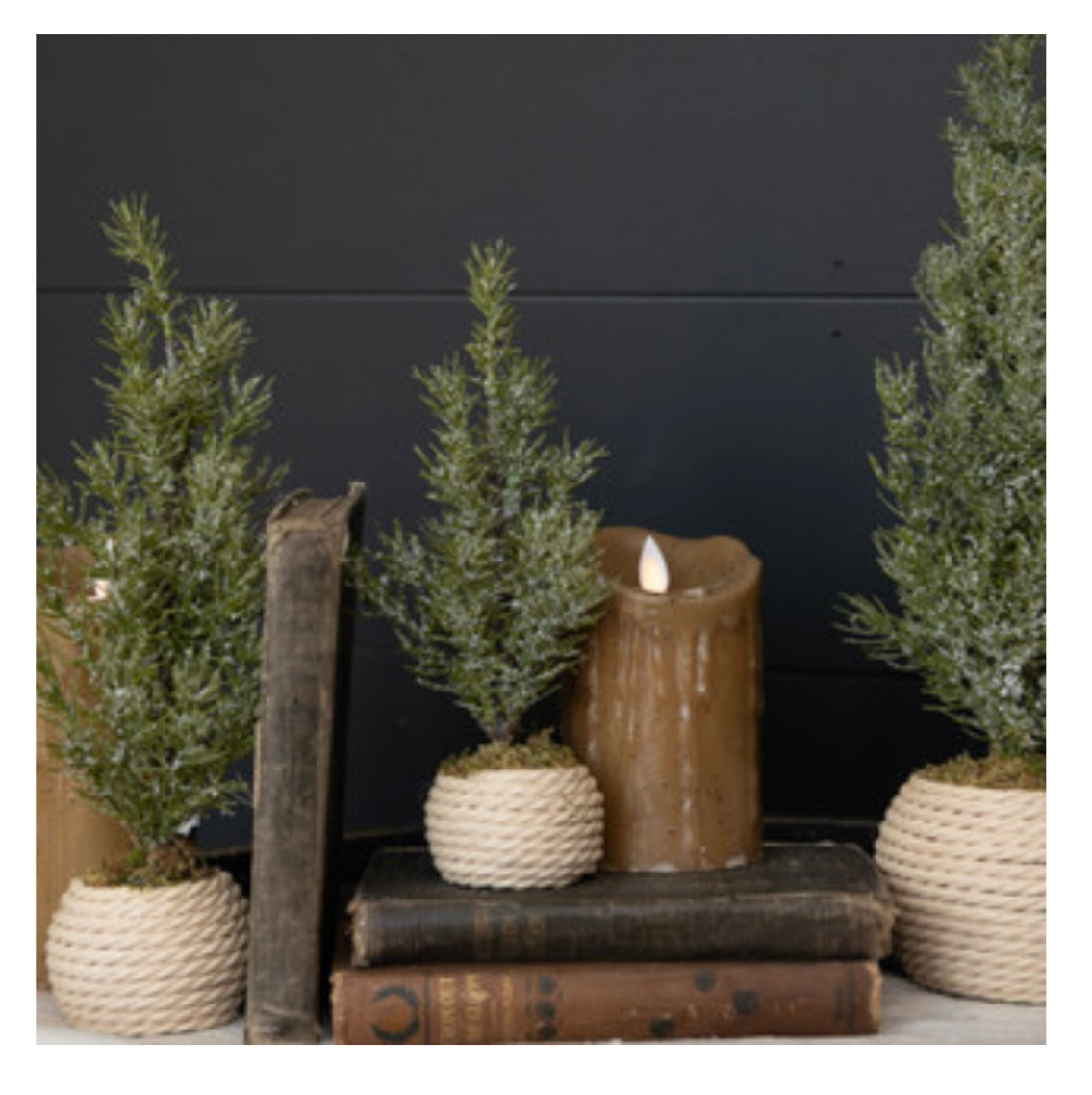 12.25" Verbier Tree in Pot