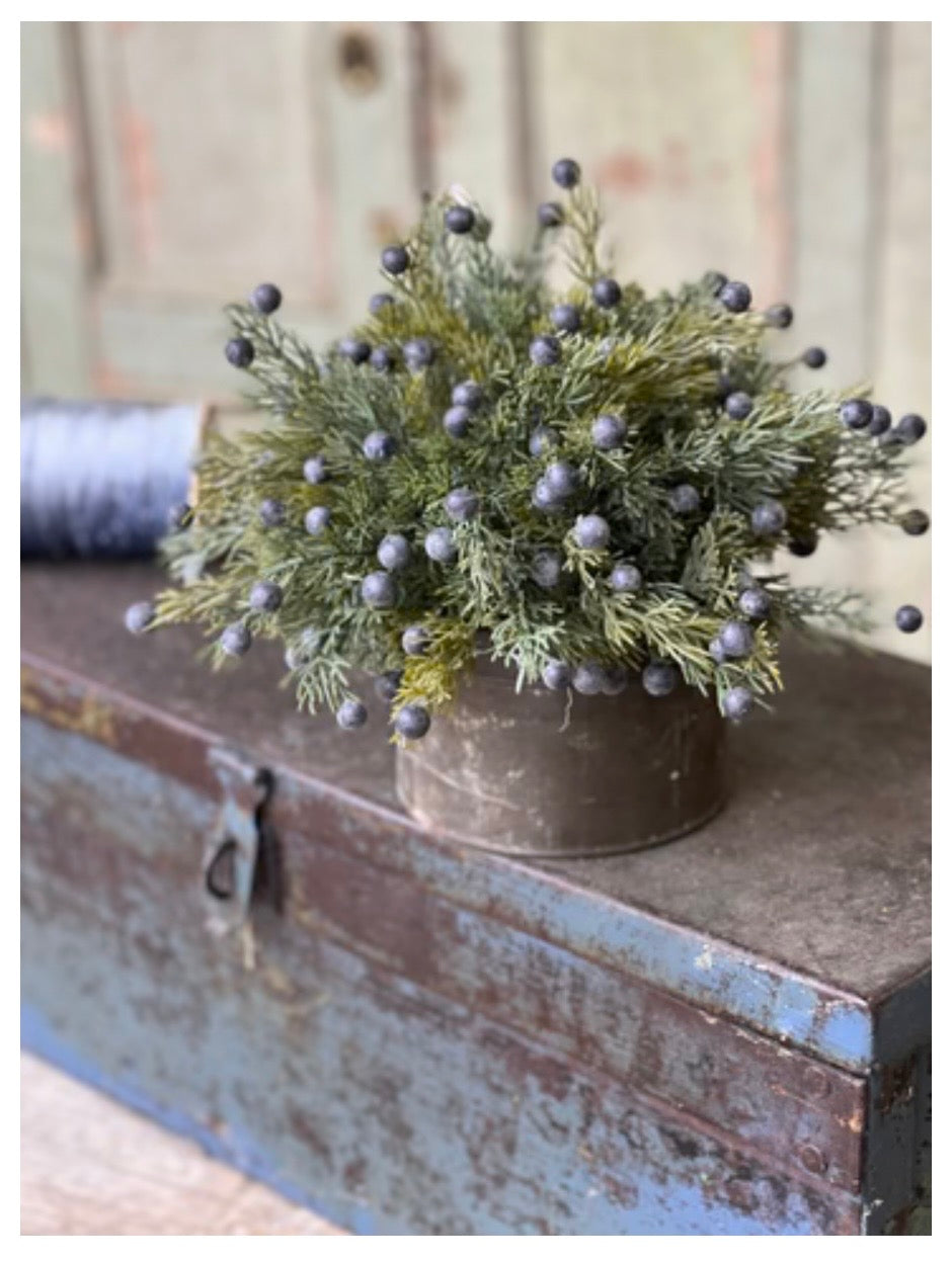 12" Midnight Juniper Half Sphere