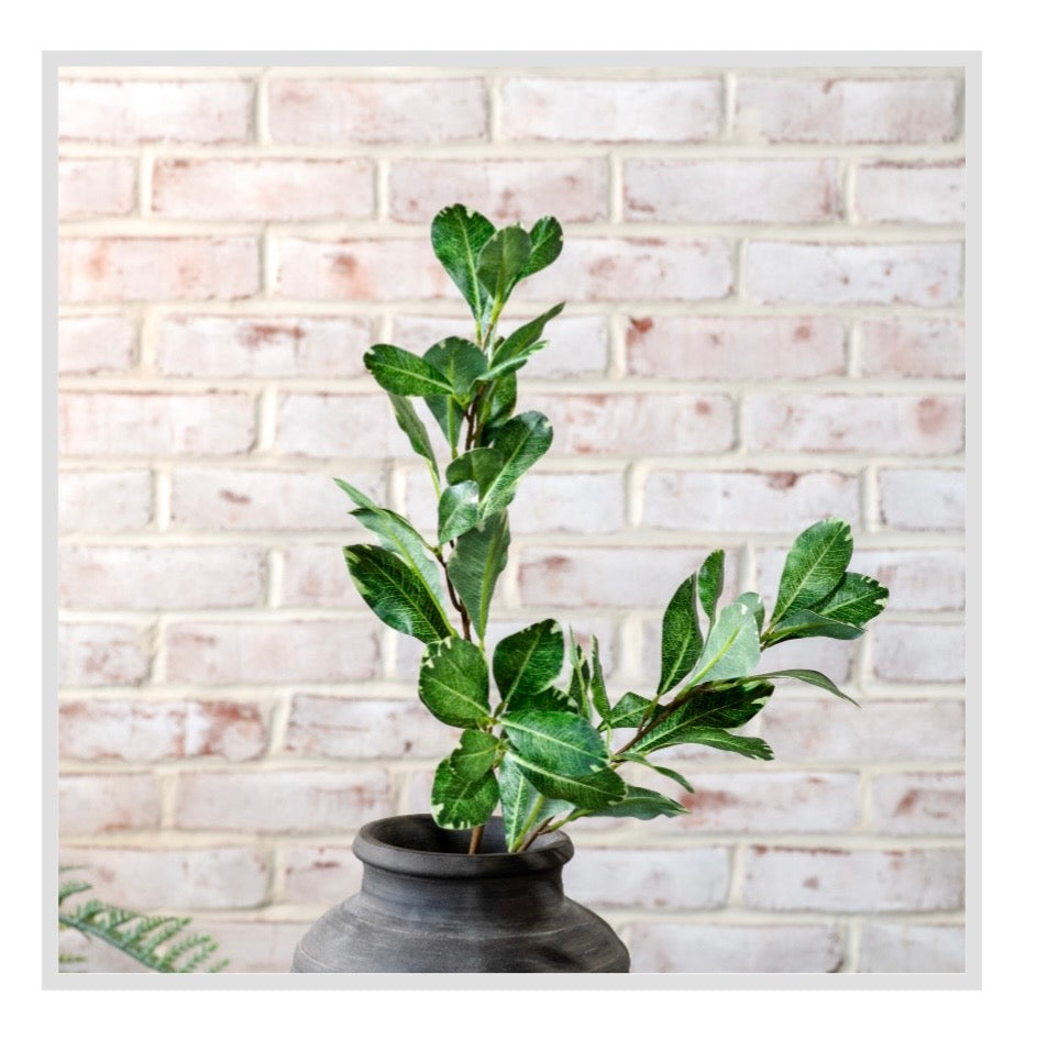 Real Touch Pittosporum Stem