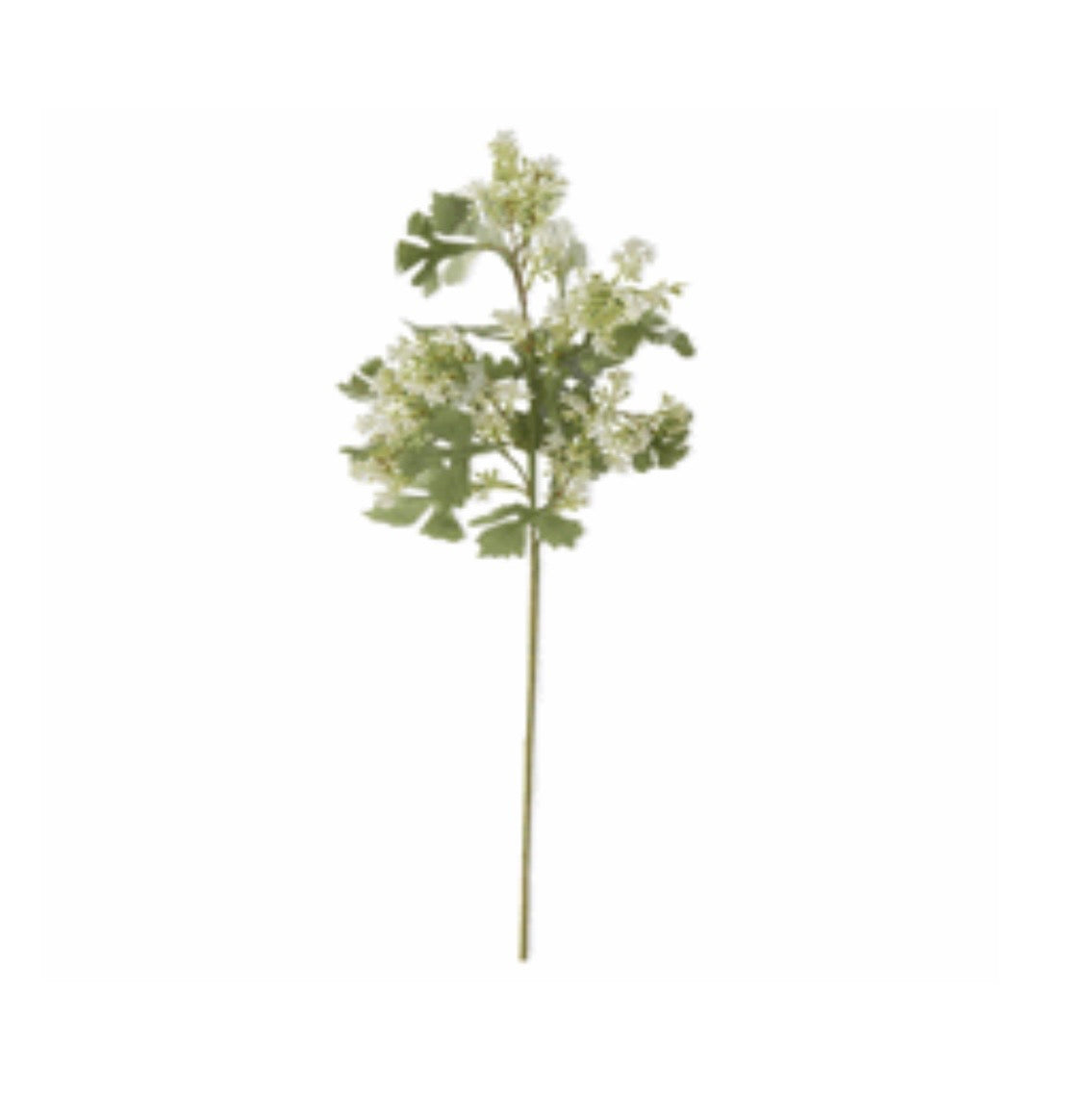 28" White Berry Salt Bush