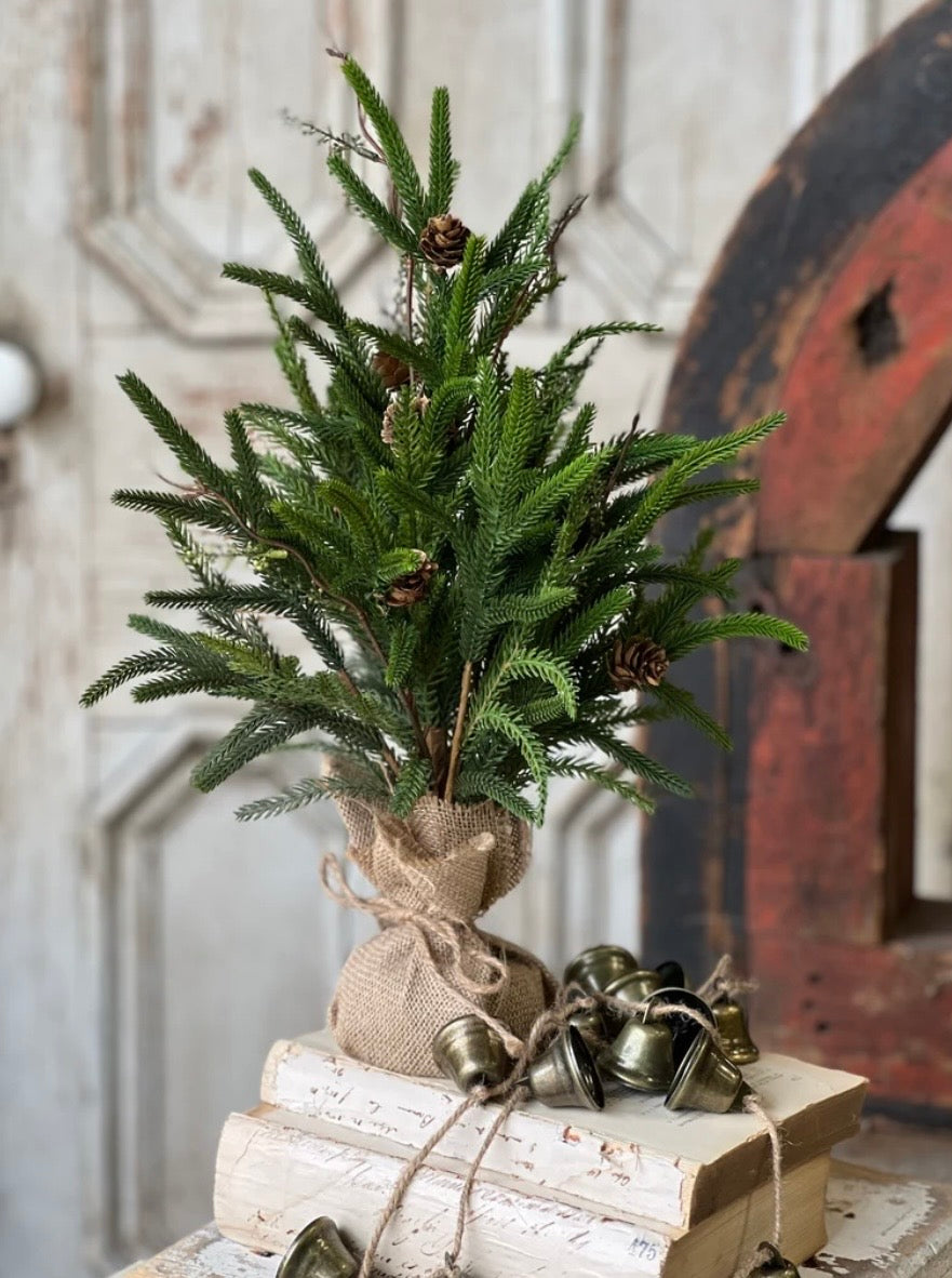 19" Pencil Pine Tree