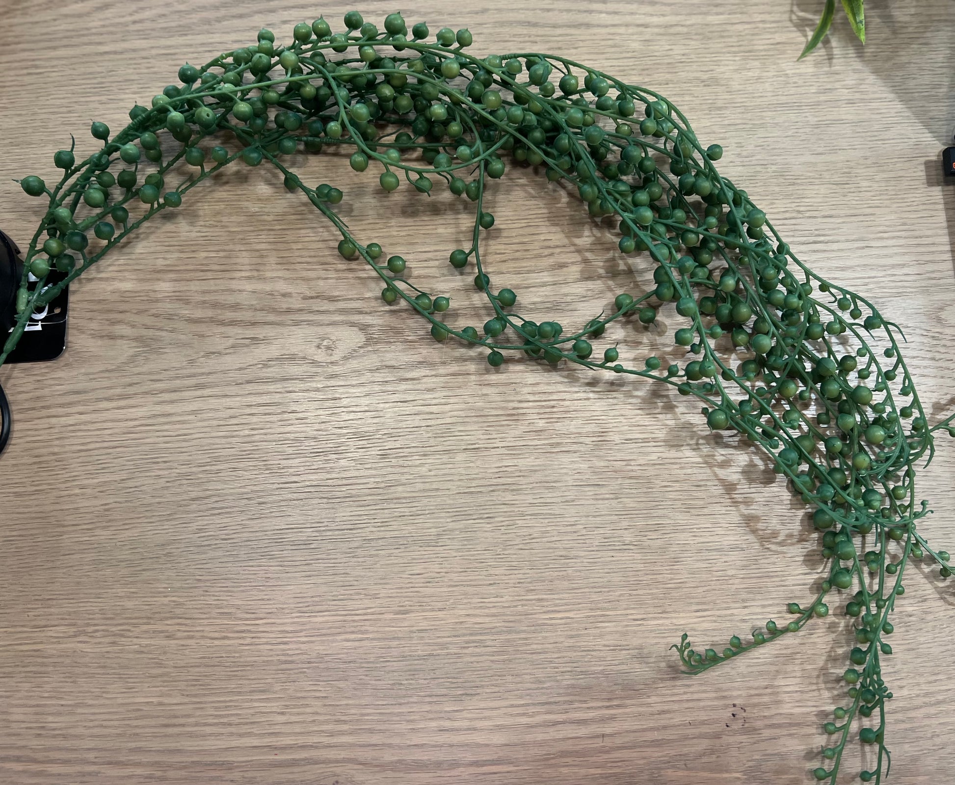 HANGING GREENERY PICK