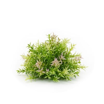 Half Orb Greenery