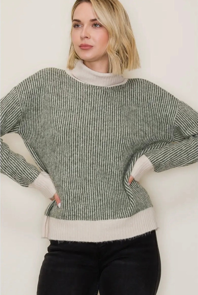 Ribbed Stripe Turtleneck Sweater