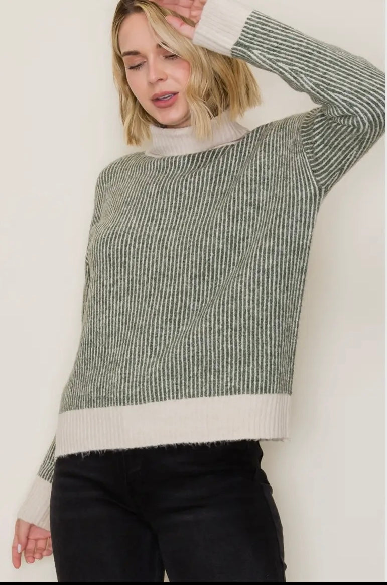 Ribbed Stripe Turtleneck Sweater