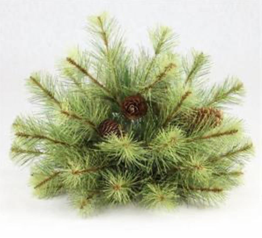 12" Pine/Pinecone Half Ball