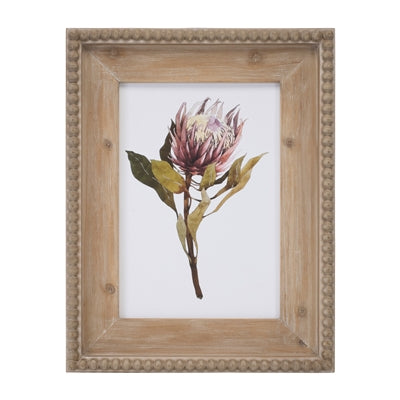 Protea Print Wood Frame