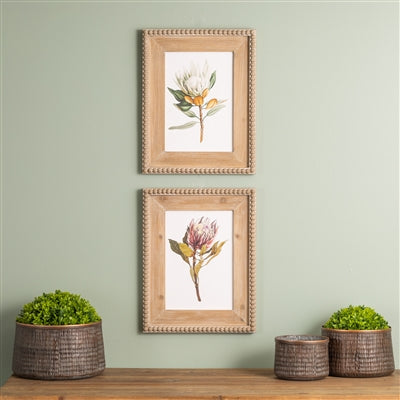 Protea Print Wood Frame