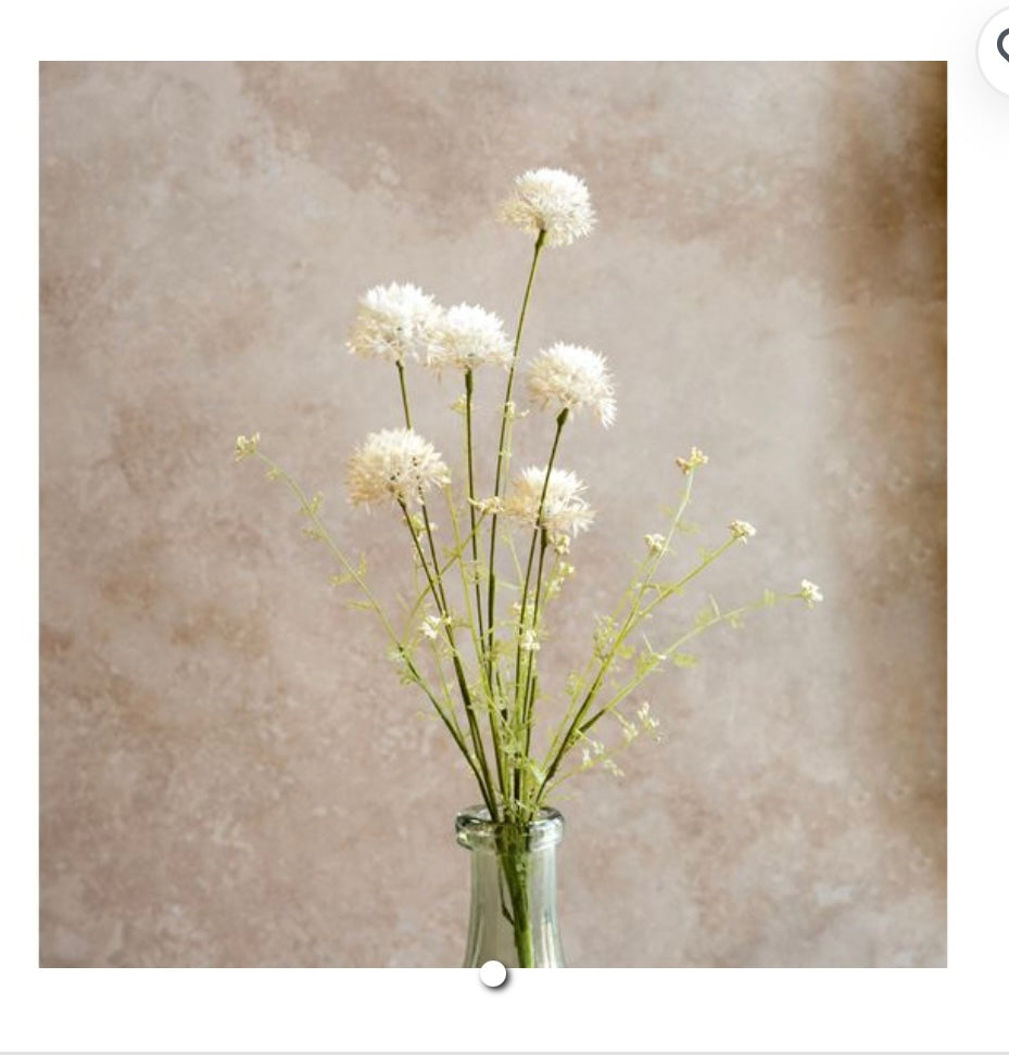 WHITE DANDELION SPRAY