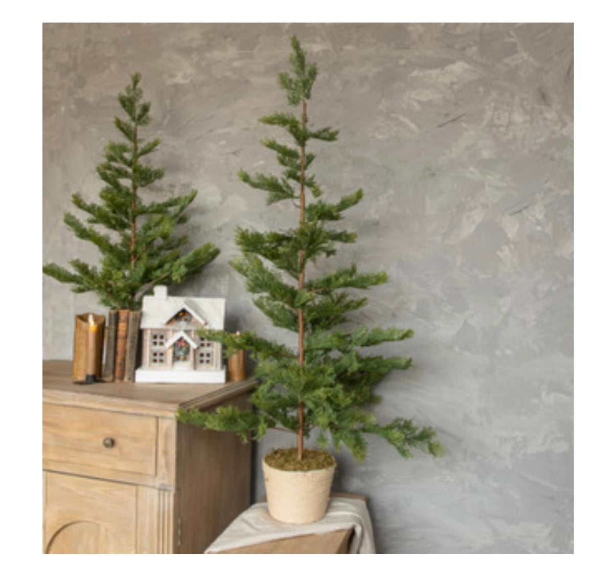 47.25" Pine w/Braided Pot