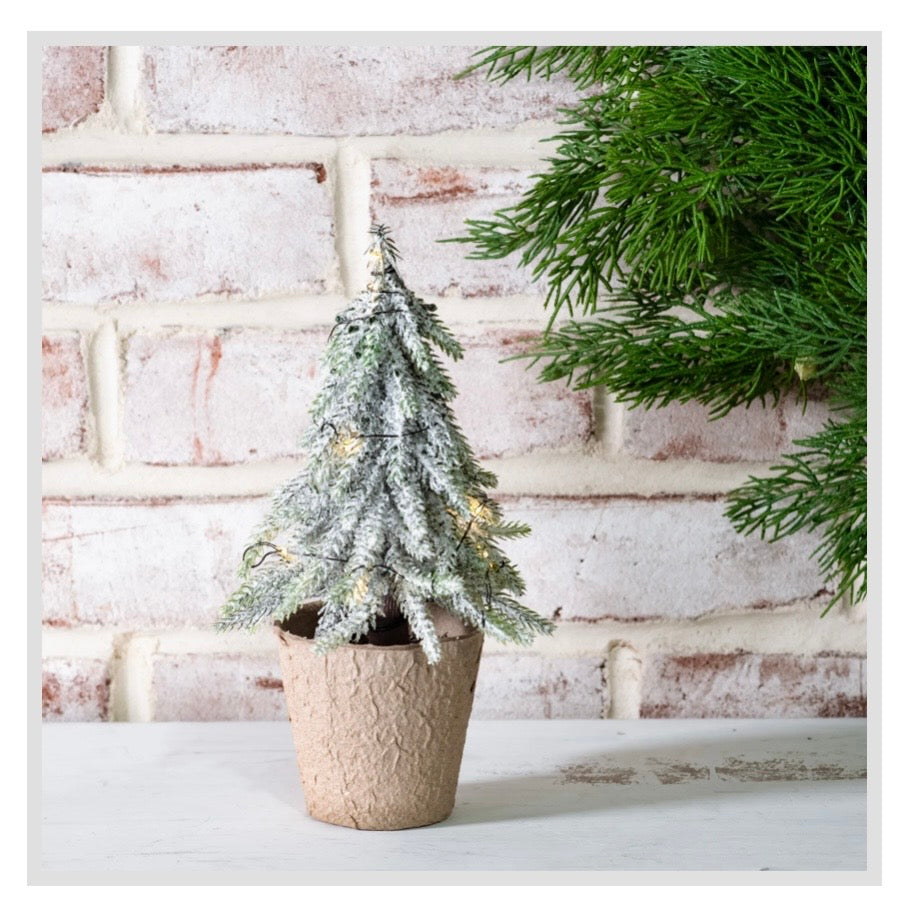 Small Droopy Christmas Tree with Lights